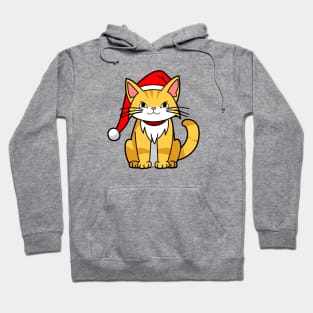 XMas Funny Cute Cat Wearing Christmas Santa Hat T-shirt Hoodie